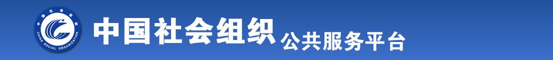 操比av全国社会组织信息查询